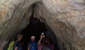 Tocht Stappen Berrias-et-Casteljau - Gorges du Chassezac - Photo 13