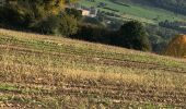Excursión Senderismo Virton - La Charmouthienne_boucle_Ethe_15km_2019-10-13 - Photo 19