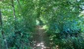 Trail Walking Hamois - Sentiers d'Art / Natoye -> Gesves / 2020-05-30 / 22 km - Photo 20