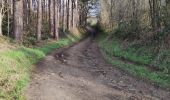 Trail Walking Herent - VELTEM - Photo 1
