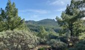 Trail Walking Tejeda - Pico de las Nieves (Gran Canaria) - Photo 2