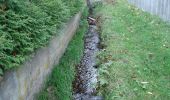 Tocht Te voet Heigenbrücken - Schwarzer Keiler, Rundwanderweg Heigenbrücken - Kalter Grund - Photo 4