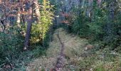 Trail Walking Prads-Haute-Bléone - LA JAVIE , refuge de la Ceriege . S Pierre o n  - Photo 8