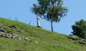 Tocht Te voet Stubenberg - Kulmweg - Photo 2