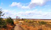 Excursión Senderismo Waimes - La grande ronde des Fagnes   - Photo 8