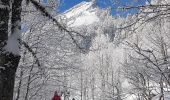 Tour Schneeschuhwandern Sarcenas - Le  Mont Fromage et ses crêtes - Photo 10