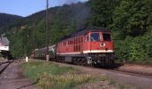 Tour Zu Fuß Frankenblick - Rundwanderweg Theuern 1 - Photo 3