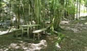 Trail Walking Saou - Petit et Grand Pomerolles - Forêt de Saoù - Photo 10