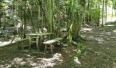 Tour Wandern Saou - Petit et Grand Pomerolles - Forêt de Saoù - Photo 10