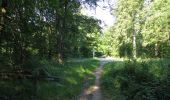 Randonnée Marche Rethondes - en forêt de Laigue_6_12_2019_Route Forestière des Princesses_Route et Chemin de Briançon - Photo 7