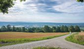 Trail On foot Baunach - Greifvogel-Wanderweg Baunach - Photo 4