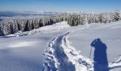 Trail Snowshoes Crêts-en-Belledonne - randonnée raquette le Grand Rocher. le Crêt du Poulet  - Photo 6