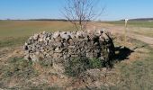 Percorso Marcia Assesse - Sart Bernard - Andenne Rando 18 - Photo 6