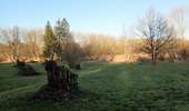 Tocht Stappen Graven - #210224 - Rés. nat. Florival, étang de Pécrot, Sept Bonniers - Photo 17