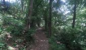 Trail Walking Pepinster - pepinster . drolenval . hoduinry . goffontaine . trou renard.  fraity . mazures . mousset . pepinster - Photo 2