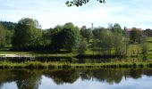 Excursión A pie Hohenau - Umleitungsstrecke für Wildschutzgebiet um die Steinbachklause. - Photo 1