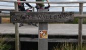 Tour Wandern Weismes - 20210911 - Sourbrodt 6.3 Km - Photo 11