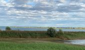 Tour Rennrad Éclaron-Braucourt-Sainte-Livière - 2020 08 25 lac de der - Photo 4