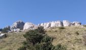 Tour Wandern Le Saix - Montagne d'Aujour - Photo 6