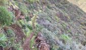 Excursión Senderismo Ingenio - Barranco de Guayadeque (Gran Canaria) - Photo 6