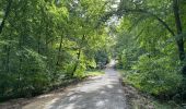 Excursión Senderismo Orrouy - en Forêt de Compiègne_41_autour des Petits Monts - Photo 19