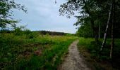 Tocht Stappen Gedinne - Balade dans les Fanges de l'Abîme - Gedinne - Photo 20