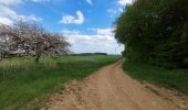 Trail Walking Fontaine-la-Gaillarde - 220501 Fontaine la Gaillarde-01 - Photo 1