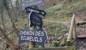 Excursión Senderismo Jalhay - Lac de la Gileppe - Limbourg (boucle 14km) - Photo 1