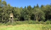 Tour Zu Fuß Söhrewald - Eco Pfad Söhre - Photo 8