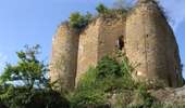 Trail On foot Theux - 39. Le Sentier de Chawion - Photo 3