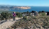 Trail Walking Marseille - Calanques, cirque des Pételins-08-11-2023 - Photo 11