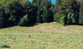 Trail Walking Montcel - MASSIF DES BAUGES: PLATEAU DU REVARD AUTOUR DE LA CROIX DES BERGERS (bis) - Photo 6