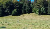 Randonnée Marche Montcel - MASSIF DES BAUGES: PLATEAU DU REVARD AUTOUR DE LA CROIX DES BERGERS (bis) - Photo 6