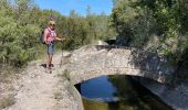 Trail Walking Montauroux - Pont des Tuves MM - Photo 11