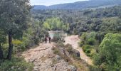 Tocht Stappen Le Muy - Roches de la fille d'Isnard 16 km - Photo 10