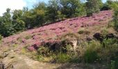 Tocht Quad Saint-Georges-de-Mons - rando du 11  - Photo 3