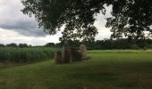 Tocht Stappen Durbuy - Les Dolmens de Wéris  - Photo 7