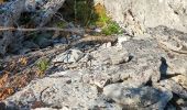 Trail Walking Grospierres - Rando Grospierres - Photo 11