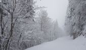 Trail Snowshoes Sarcenas - Le  Mont Fromage et ses crêtes - Photo 1