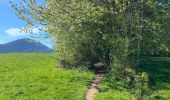 Trail Walking Curienne - Boucle de curienne  - Photo 13