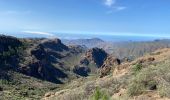 Randonnée Marche Tejeda - Pico de las Nieves (Gran Canaria) - Photo 11