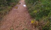 Trail Walking Le Revest-les-Eaux - 83 barrage revest les eaux 24-05-2021 - Photo 3