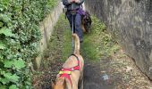 Trail Walking Habay - Mageroy ADEPS 2022 10 km - Photo 18