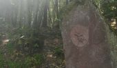 Trail Walking Mollkirch - le sentier des demoiselles de pierre - Photo 8