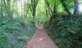 Trail Walking Noizay - Noizay - la Rochère - 22.4km 405m 5h15 - 2022 05 19 - Photo 7