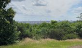 Randonnée Marche Holsbeek - S-GR Hageland: Kortrijk-Dutsel - Leuven - Photo 12