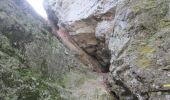 Tocht Stappen Saou - 2024-10-27_08h45m28_Roche_Colombe_au_Pays_de_la_Foret_de_Saou - Photo 2