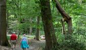 Tour Wandern Zottegem - WSV  - Photo 3