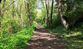 Randonnée Marche Seraing - Les bois du Val Saint-Lambert  - Photo 3