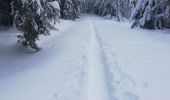 Randonnée Raquettes à neige Le Hohwald - rptlch - Photo 3